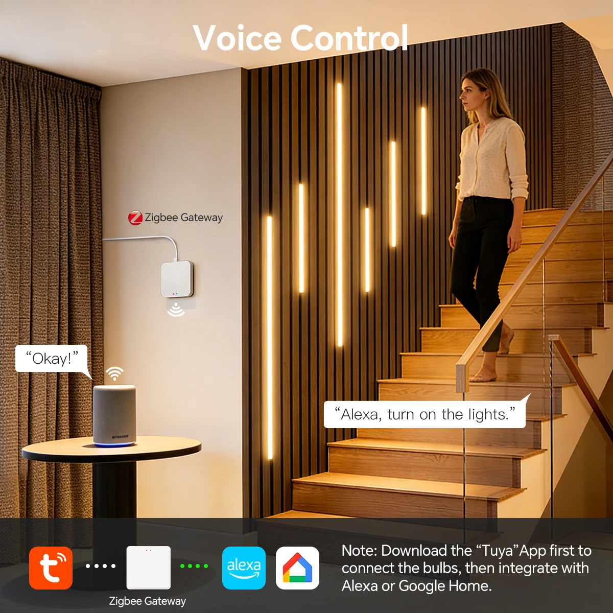Zigbee Smart Neon COB LED Stri - مراجعة Smart Home Automation Diy وسعره