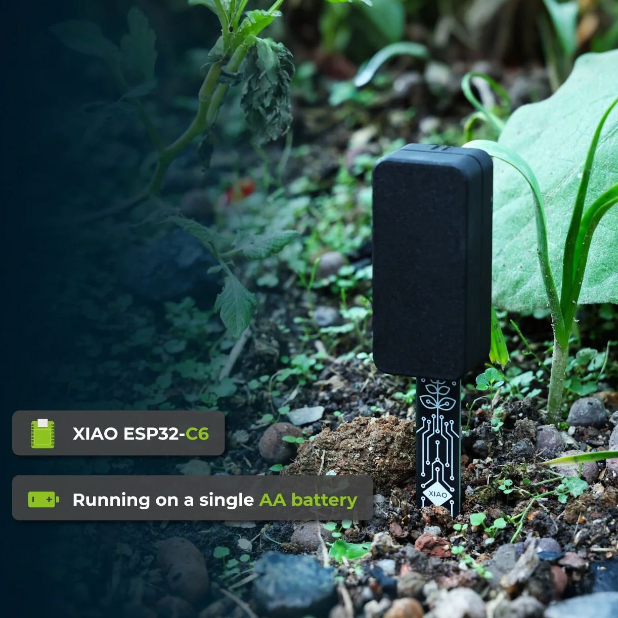 XIAO ESP32 C6 Soil Moisture Se - مراجعة Home Automation Tutorial وسعره