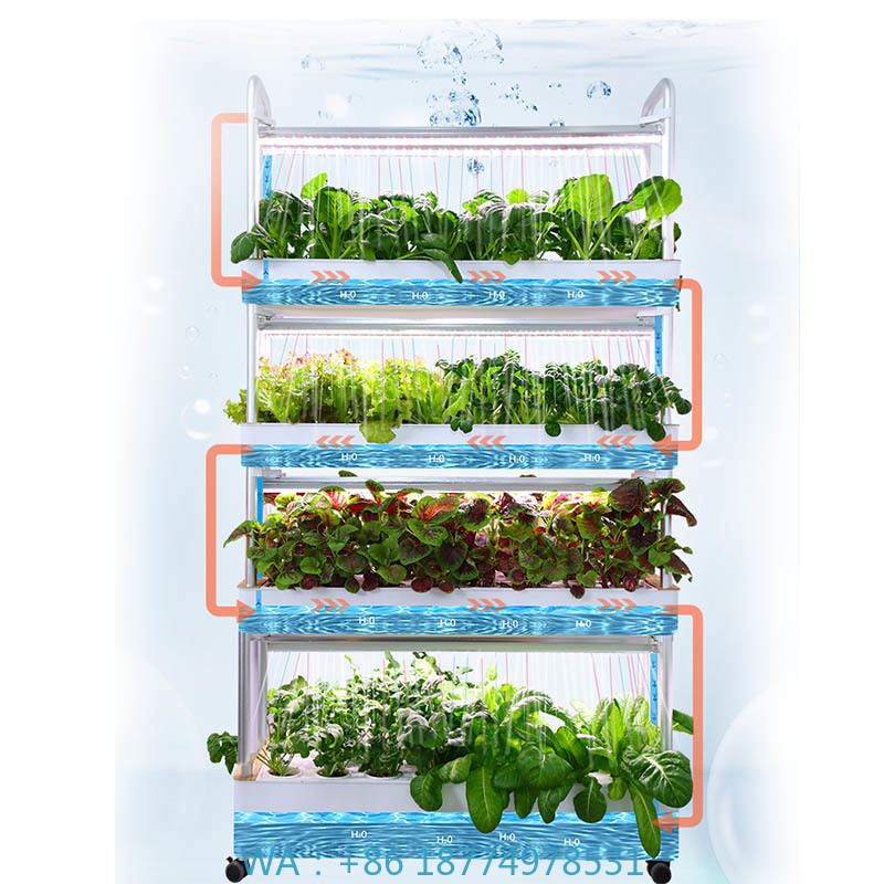 ydroponic Planting System Smar - مراجعة Home Automation Diy وسعره