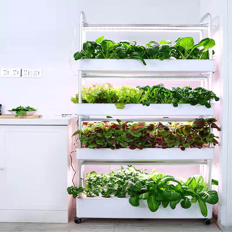 ydroponic Planting System Smar - مراجعة Home Automation Diy وسعره