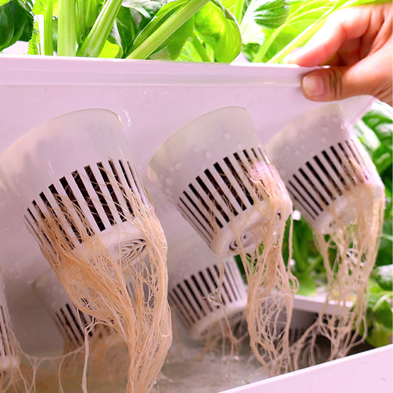 ydroponic Planting System Smar - مراجعة Home Automation Diy وسعره