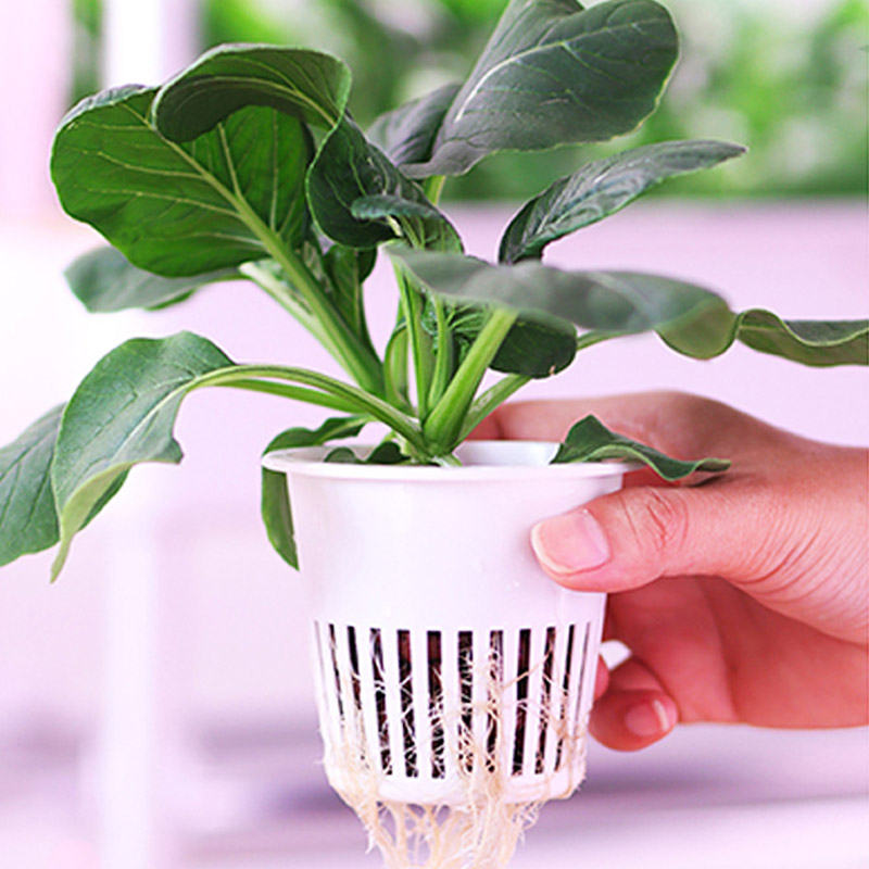 ydroponic Planting System Smar - مراجعة Home Automation Diy وسعره