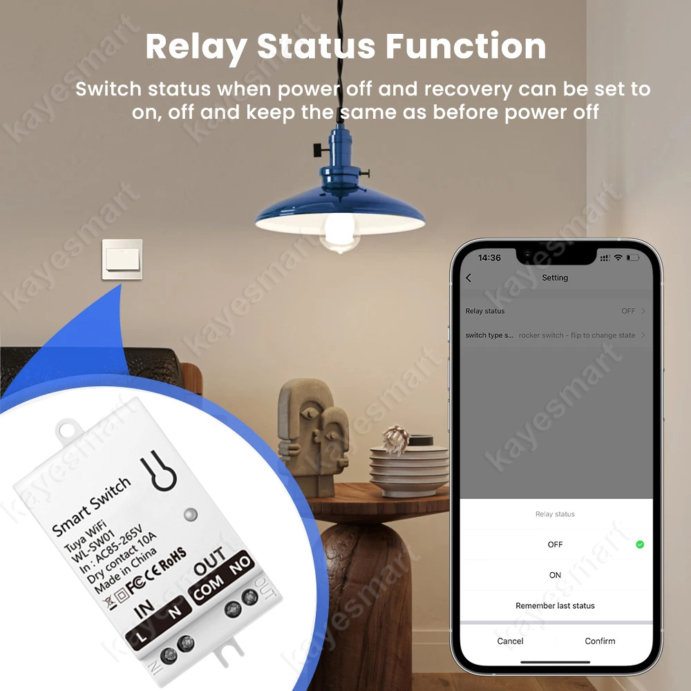 Tuya WiFi Smart Switch Module  - مراجعة Home Automation Diy وسعره