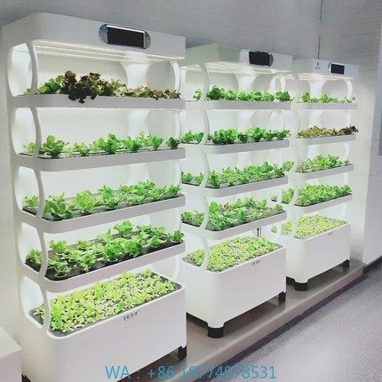 Hydroponic Automated Grow Syst - مراجعة Home Automation Diy وسعره